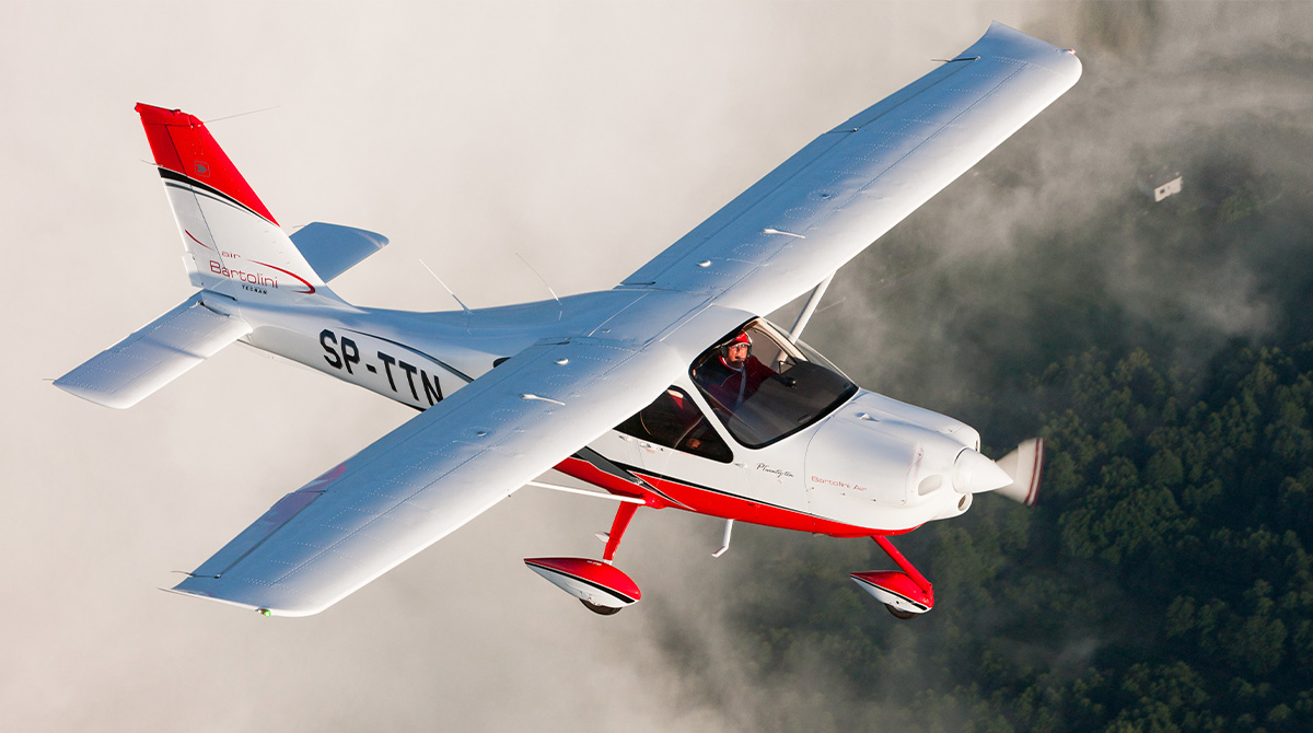 P2010 by Tecnam wing