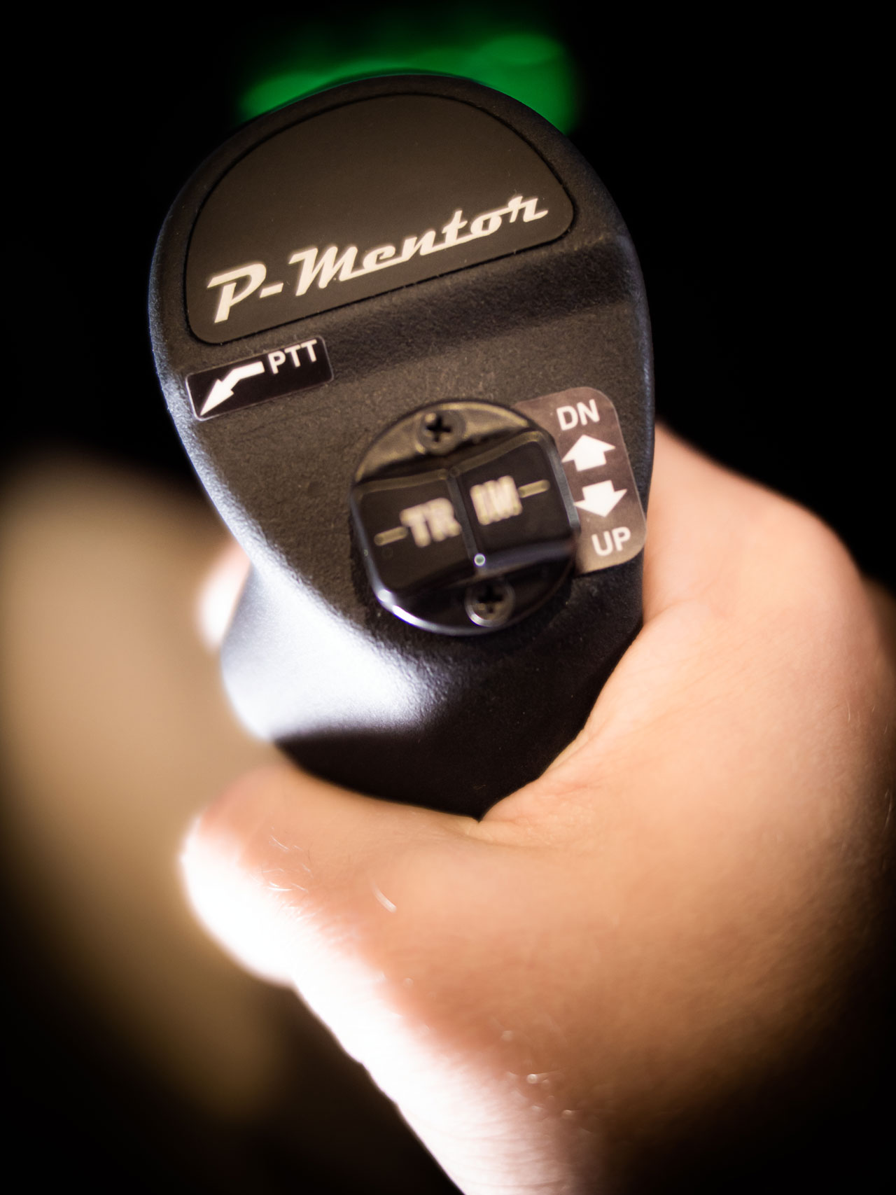P-mentor-INT-P5911192