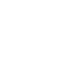 Two Engine Options